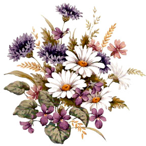 Daisy Daisies Bouquet