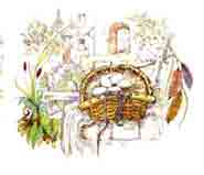 Rustic Memories - Egg Basket Scene