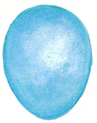 Robin Bird-Egg