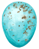 Thrush Bird-Egg