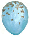 Wren Bird-Egg