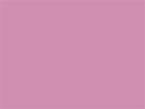 Lilac Overall  Sheet Pantone Color 186c
