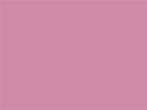 Pink Overall Sheet Pantone Color 7431c