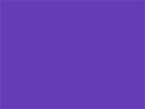 Purple Overall Sheet Pantone Color 7672c