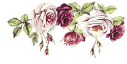 Rose Garden Flowers