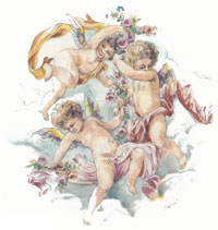 Cherub Angels