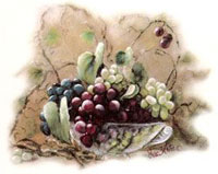 Grapevine