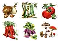 Vegetables - Onions, Tomatoes, Beans, Mushrooms, Carrots