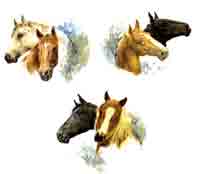 Horses Heads