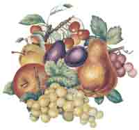 Fruit, Cherries, Apples, Plums, Grapes, Strawberries