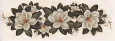 Magnolia