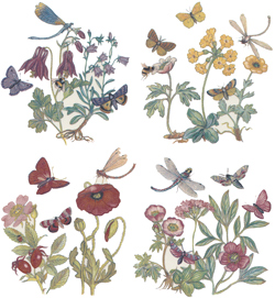 Insects, Butterflies, Dragonflies and Botanicals