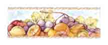 Grapes, Lemons, Oranges - Border