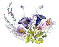 Garden Florals