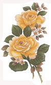 Yellow Roses