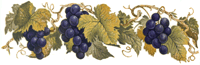Purple Grapes