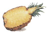 Fruit - Pineapples