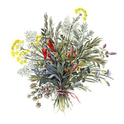 Spice Herb Bouquet