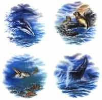 Sealife Scenes - Dolphin, Sea Turtle, Seal, Whale
