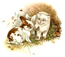 Kittens; Pups and Bunnies