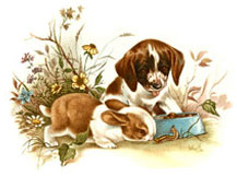 Kittens; Pups and Bunnies