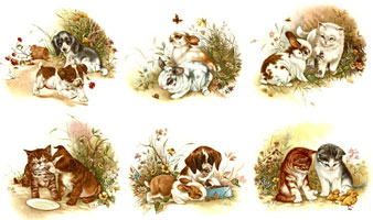 Kittens; Pups and Bunnies