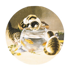 Cats - Kittens Around Fishbowl