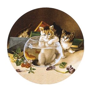 Cats - Kitten In Fishbowl