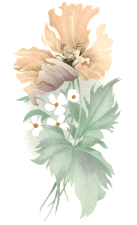 Windsong Floral