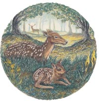 Animal Fawn Deer