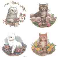 Cats - Kittens With Flowers