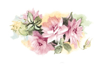 Roses Spray