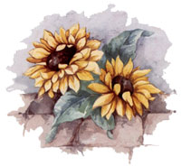 Country Market Floral Sunflower