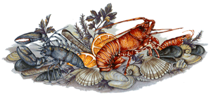 Sea Feast Mural - Shrimp, Crab, Lobster