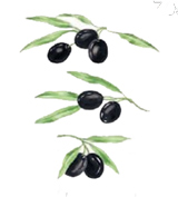 Olives Set 3 piece Bits