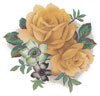 Roses - Yellow Muted