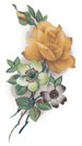 Roses - Yellow Muted