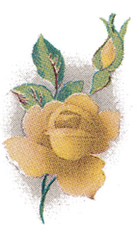 Roses - Yellow Muted