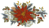 Poinsettia