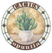 Cactus