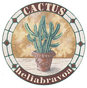 Cactus