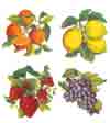 Fruit - Lemons, Grapes, Strawberries, Oranges - Glass-Low Fire