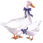 Goose - Geese