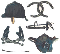 Horse Accessories