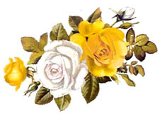 Roses Bouquet - Yellow and White