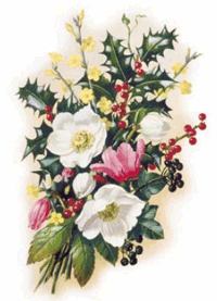 Christmas Floral