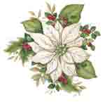 White Poinsettia Bit