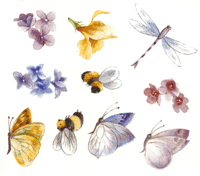 Bees, Butterflies, Dragonfly, flowers Bits