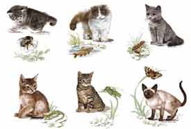Kittens, Butterfly, Frog, Fish, Grasshopper, Bee, Lizard