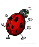 WHIMSICAL LADYBUG